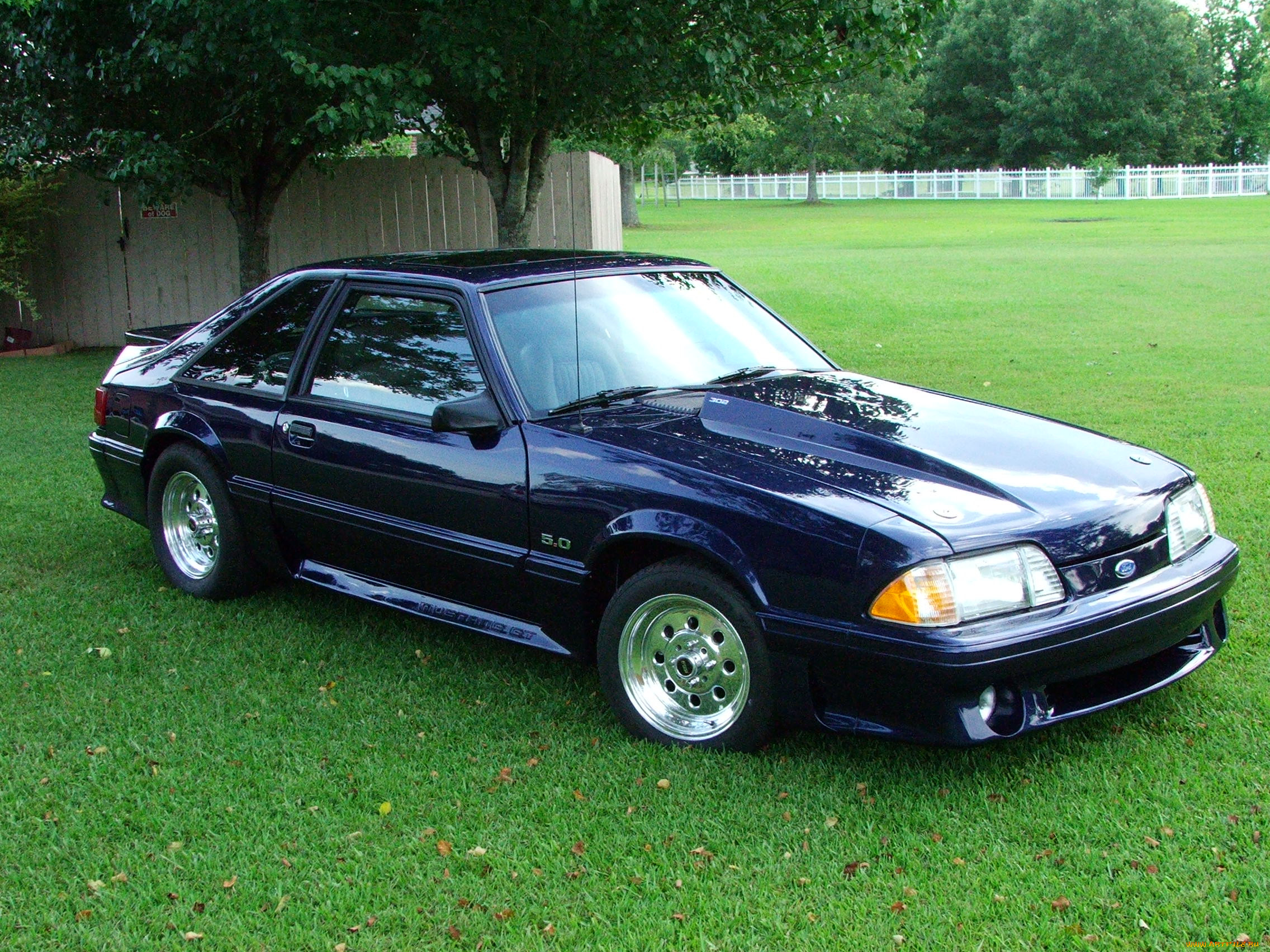 , mustang, five, litre